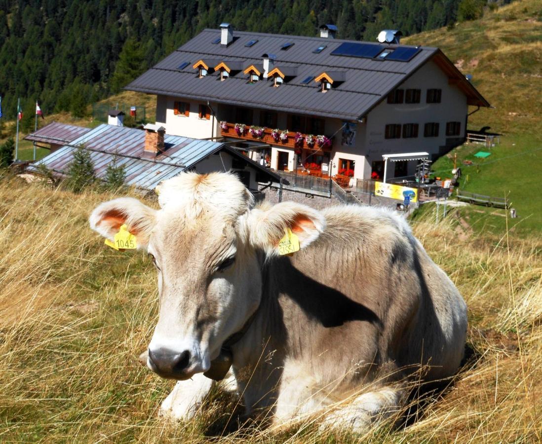 Rifugio Capanna Passo Valles 팔카데 외부 사진